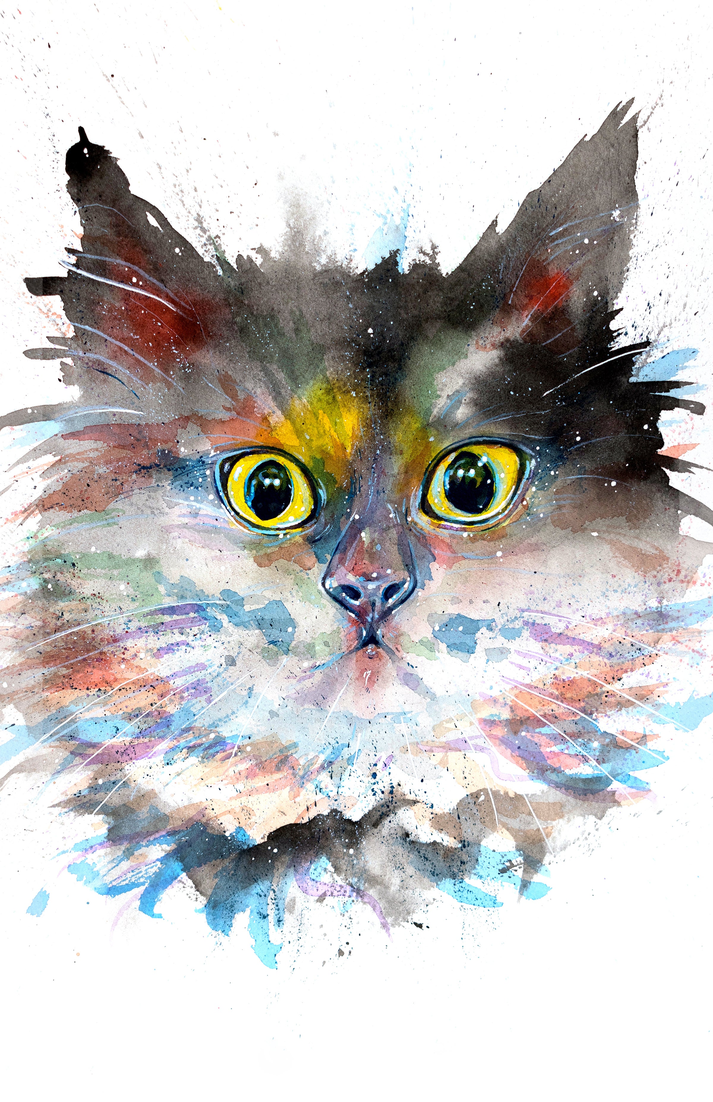 Angry cat : r/Watercolor