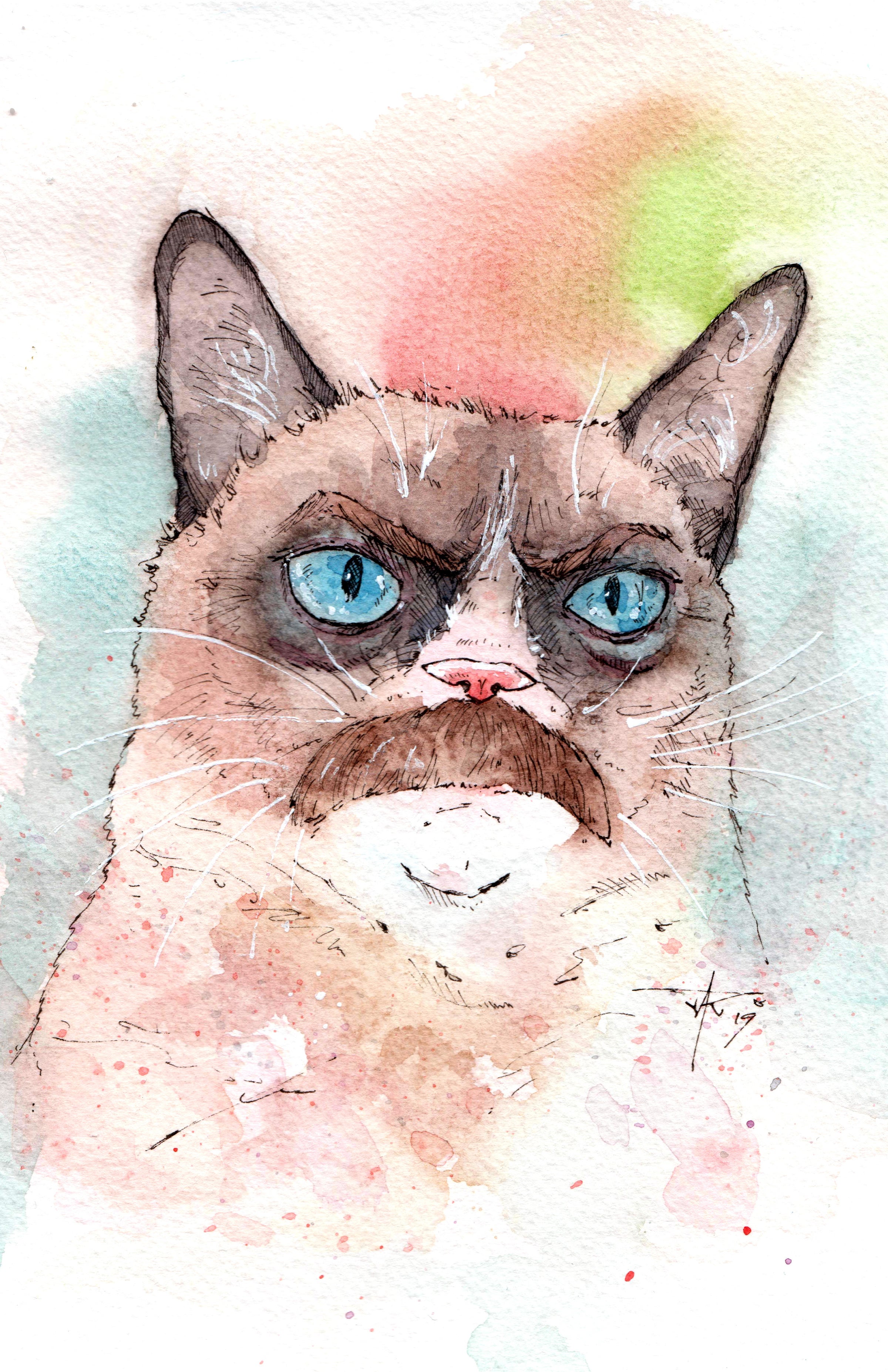 Angry cat : r/Watercolor